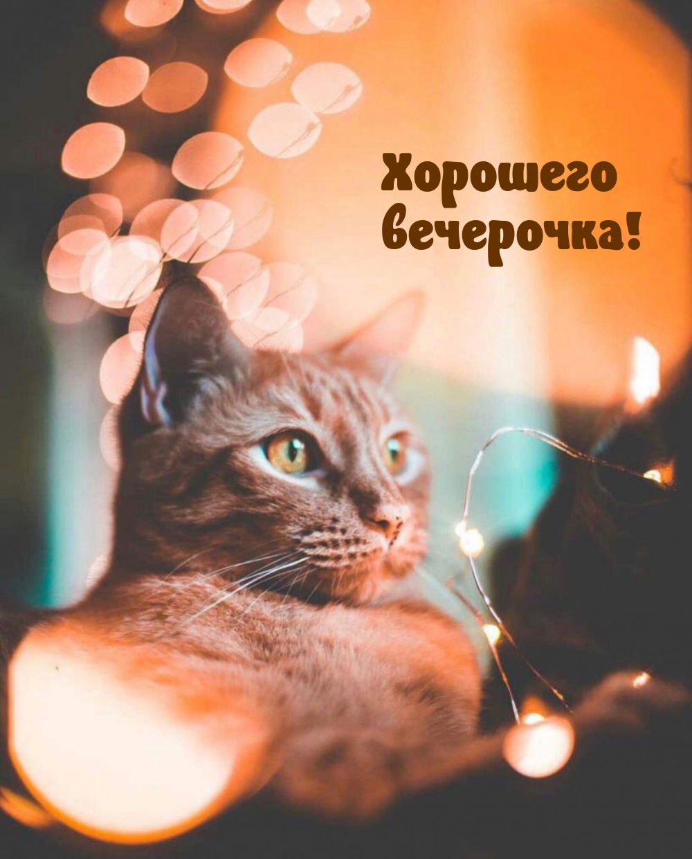 Хорошего вечерочка!