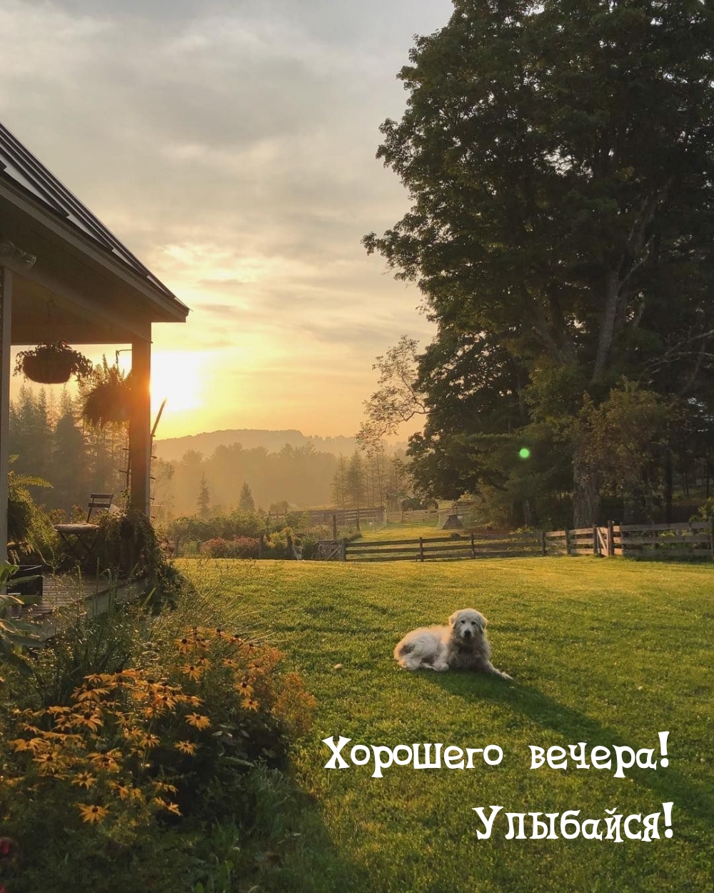 Хорошего вечера! Улыбайся!