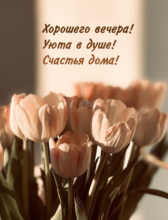Хорошего вечера! Уюта в душе! Счастья дома!