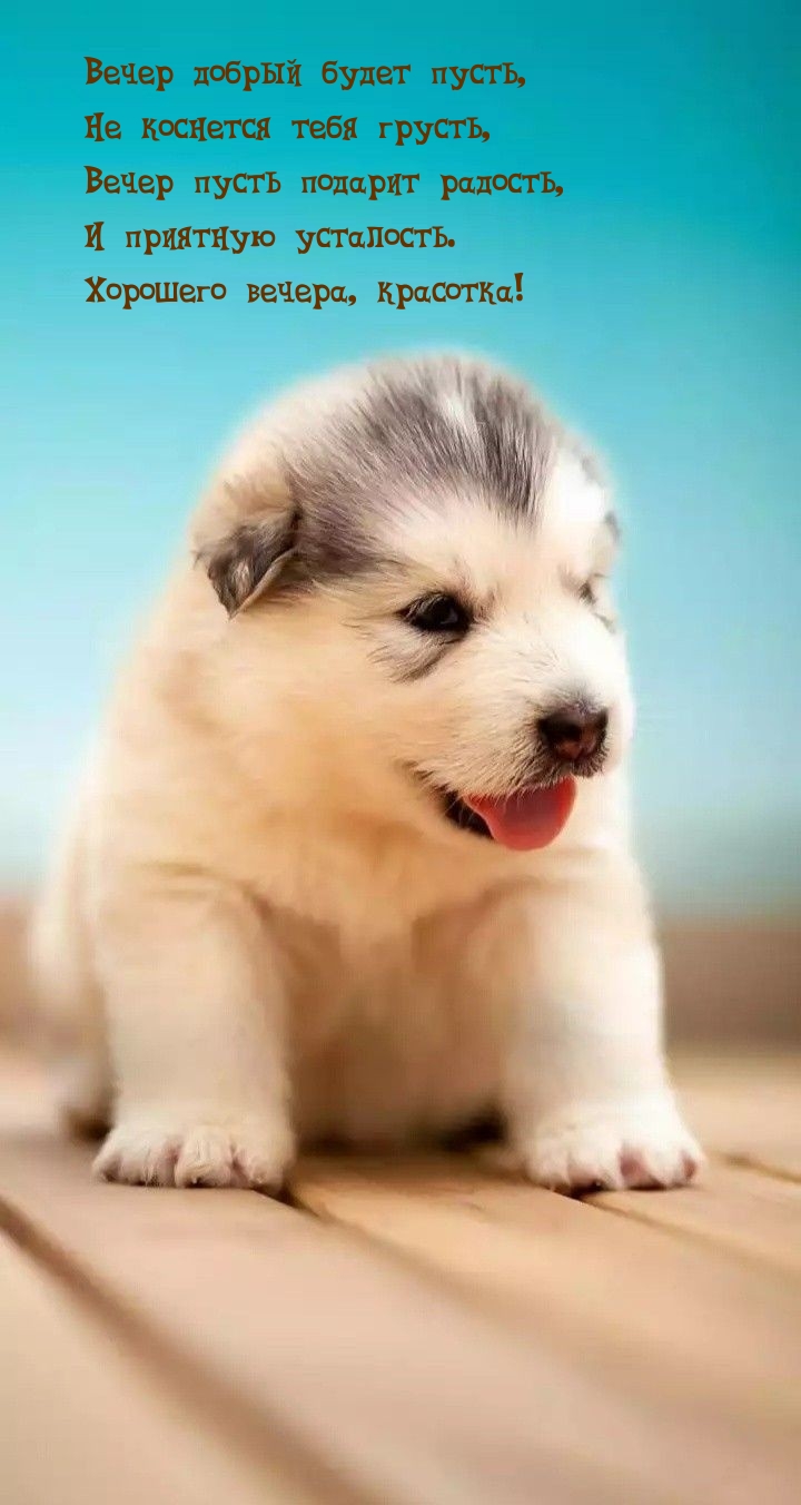 Вечер добрый будет пусть, не коснется тебя грусть