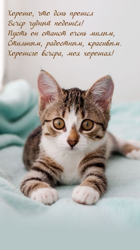 Хорошо, что день прошел вечер чудный подошёл!