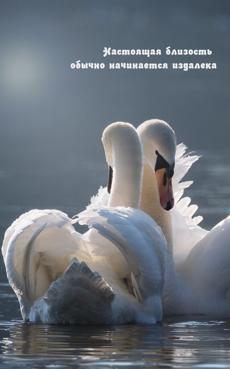 Настоящая близость обычно начинается издалека
