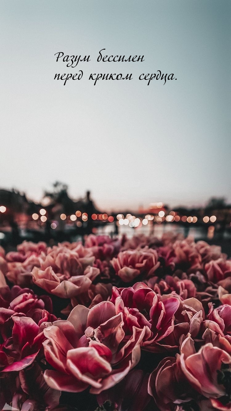 Разум бессилен перед криком сердца.