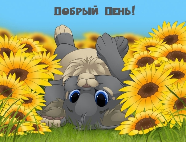 Добрый день!