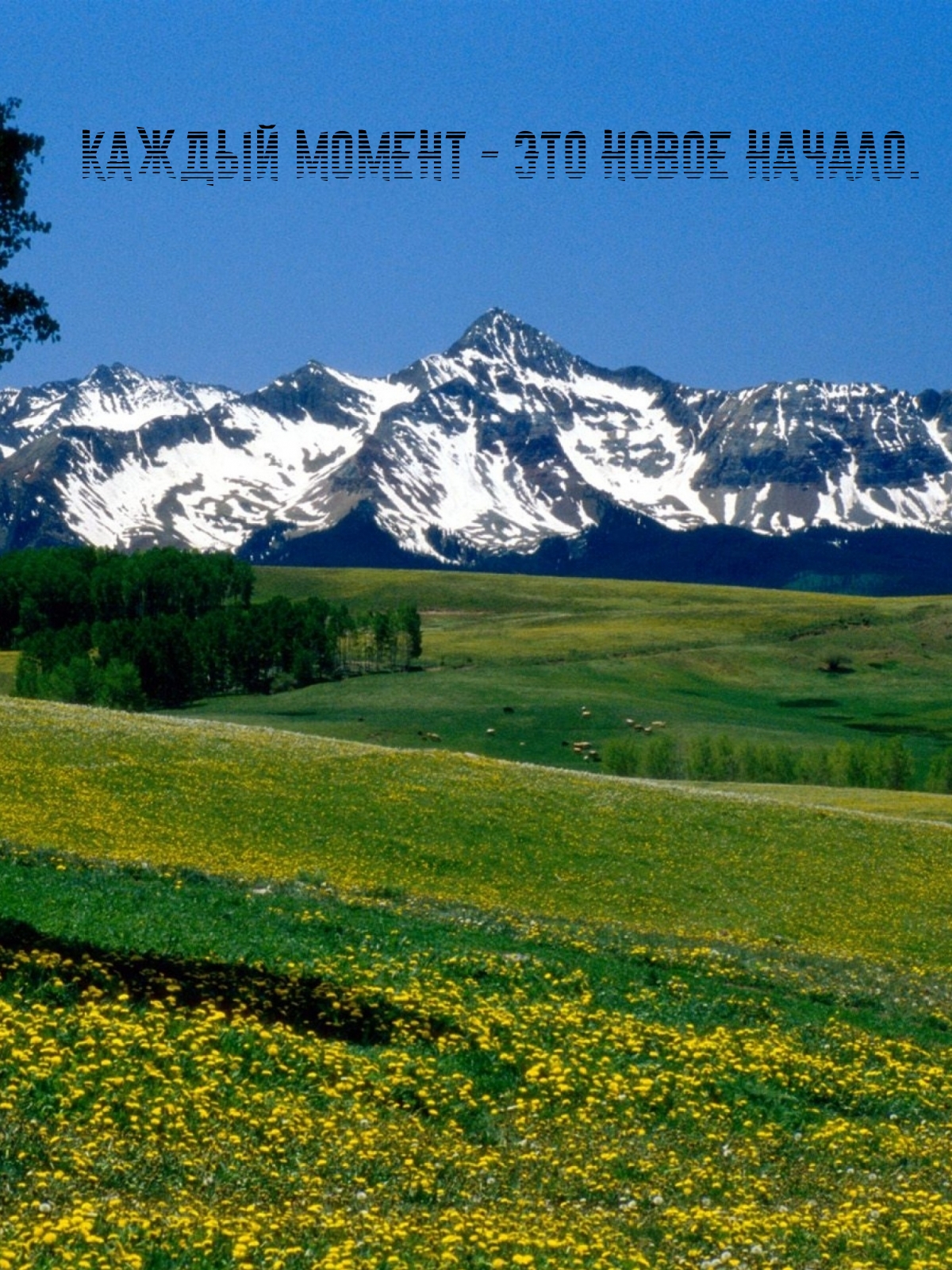 Каждый момент — это новое начало.