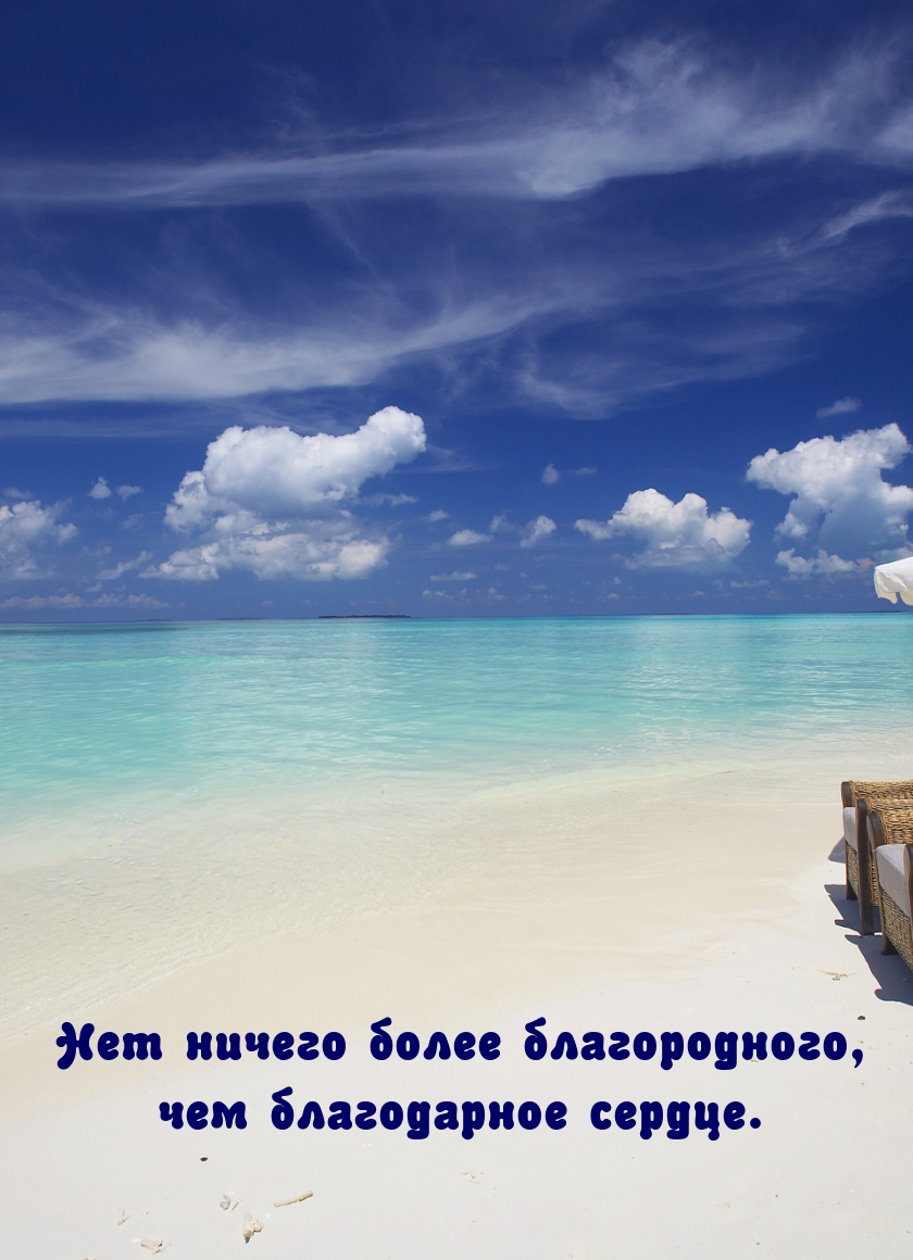 Нет ничего более благородного, чем благодарное сердце.