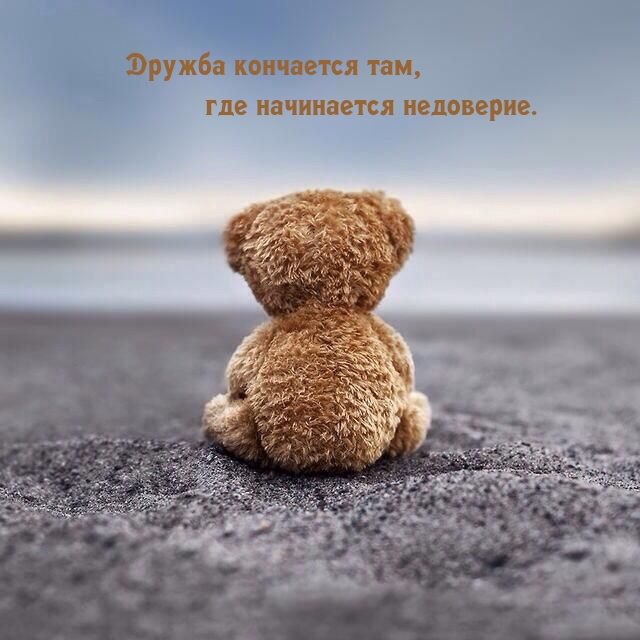 Дружба кончается там, где начинается недоверие.