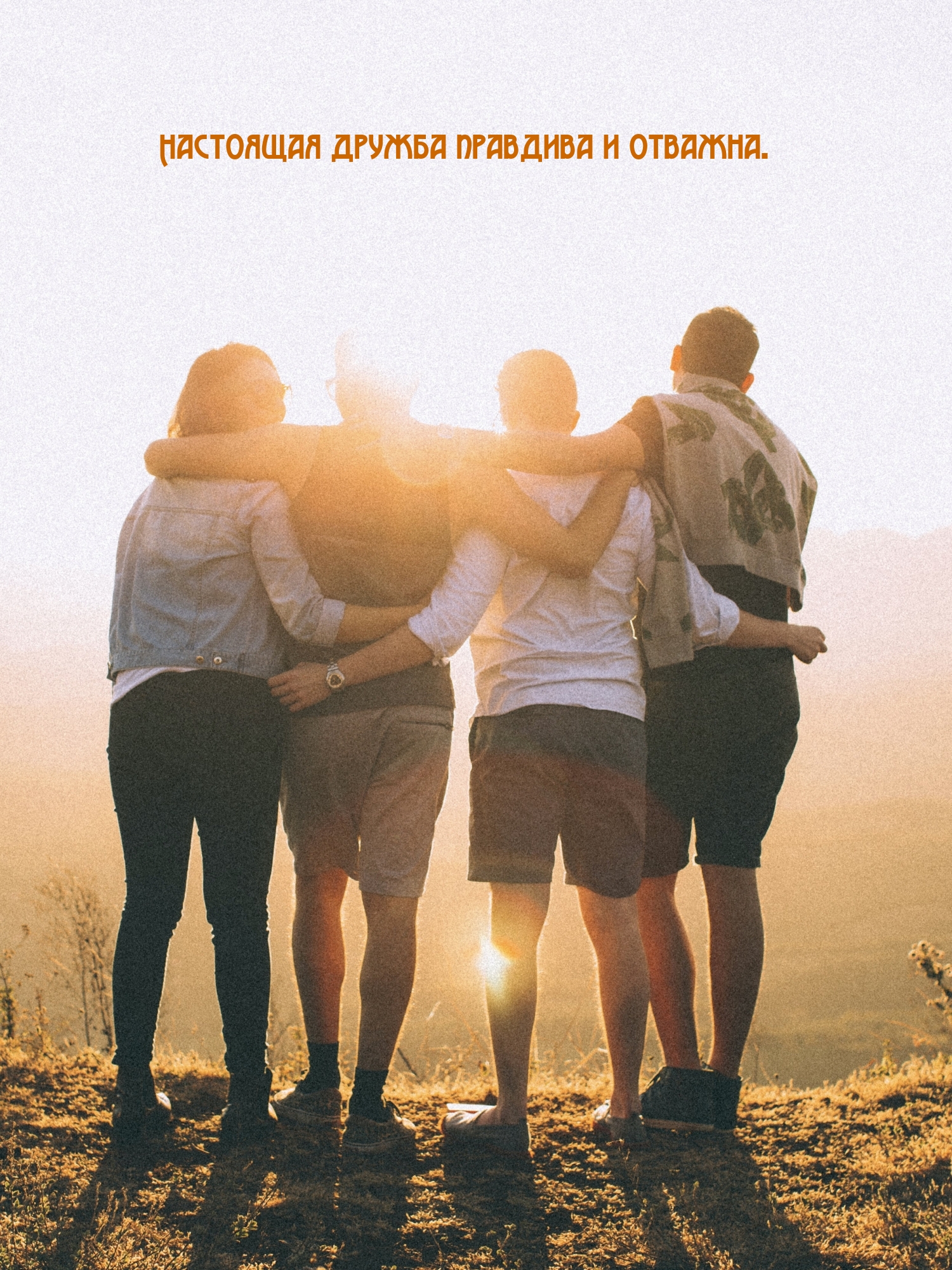 Настоящая дружба правдива и отважна.