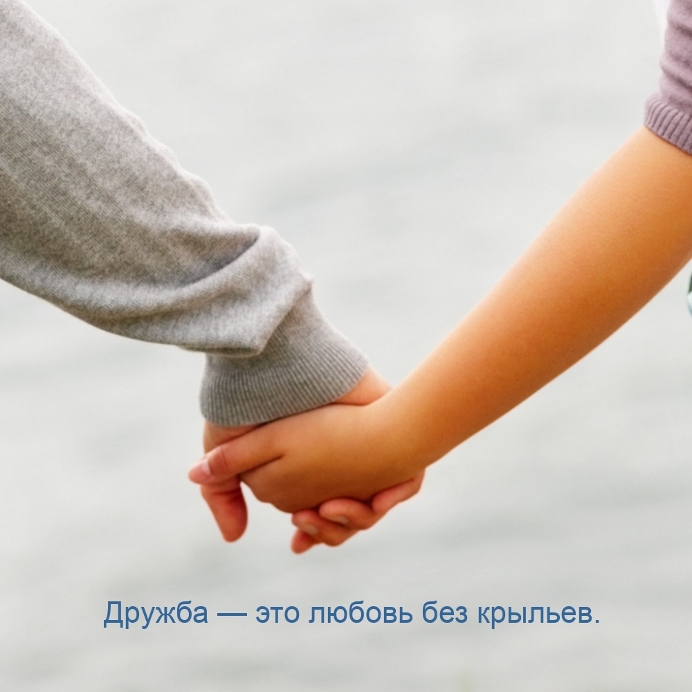 Дружба — это любовь без крыльев.