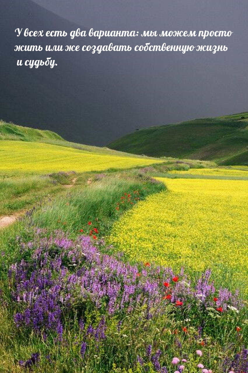 Мы можем просто жить или же создавать собственную жизнь