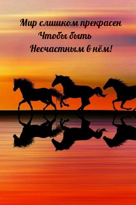 Мир слишком прекрасен чтобы быть несчастным в нём!