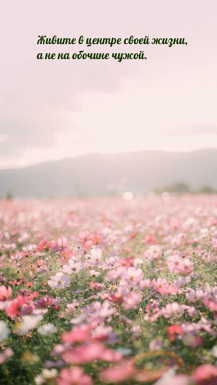 Живите в центре своей жизни, а не на обочине чужой.