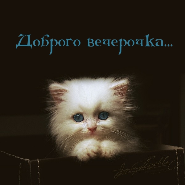 Доброго вечерочка!