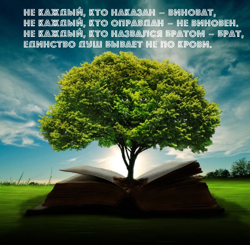 Не каждый, кто наказан – виноват, не каждый, кто оправдан – не виновен.