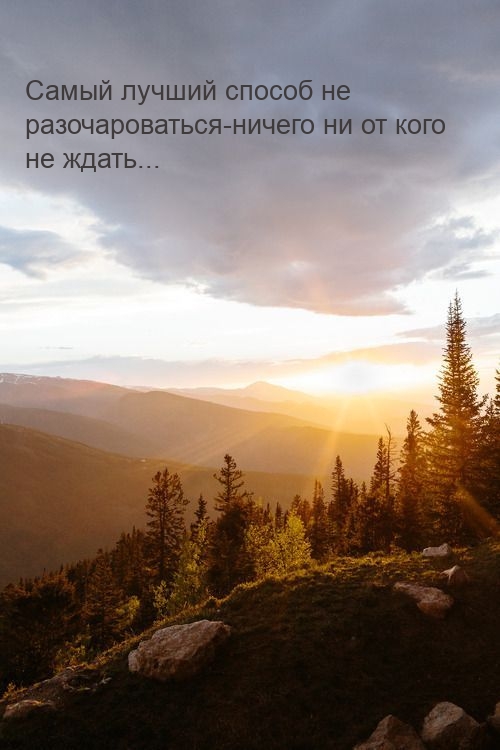 Самый лучший способ не разочароваться — ничего ни от кого не ждать…