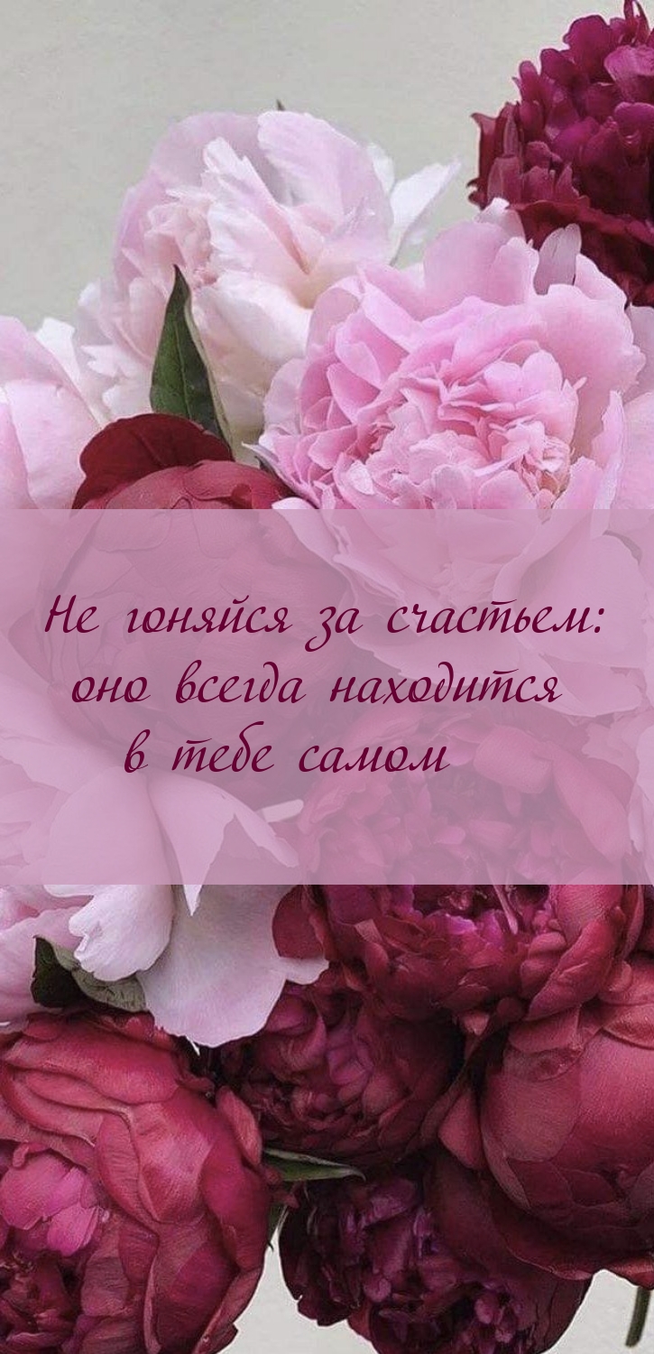 Не гоняйся за счастьем: оно всегда находится в тебе самом