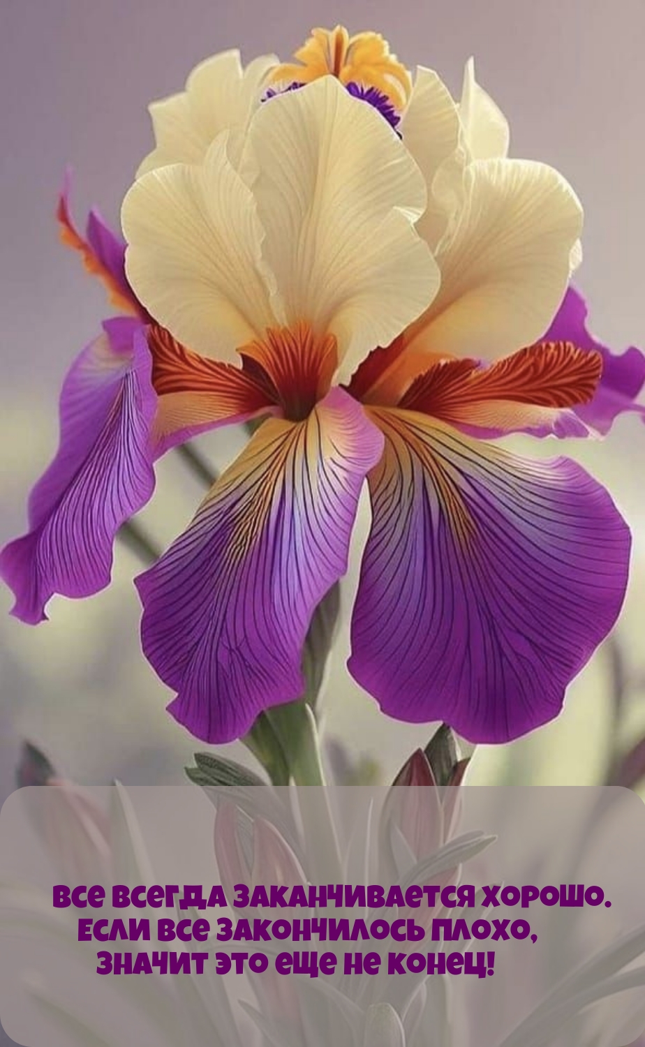 Все всегда заканчивается хорошо. Если все закончилось плохо