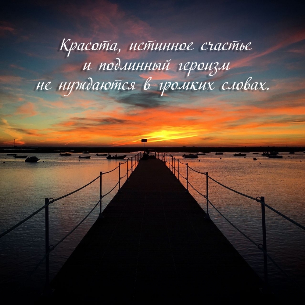 Красота, счастье и подлинный героизм не нуждаются в громких словах.