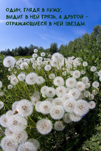 Один, глядя в лужу, видит в ней грязь, а другой – звезды.