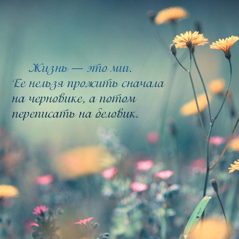 Жизнь — это миг. Ее нельзя прожить сначала на черновике