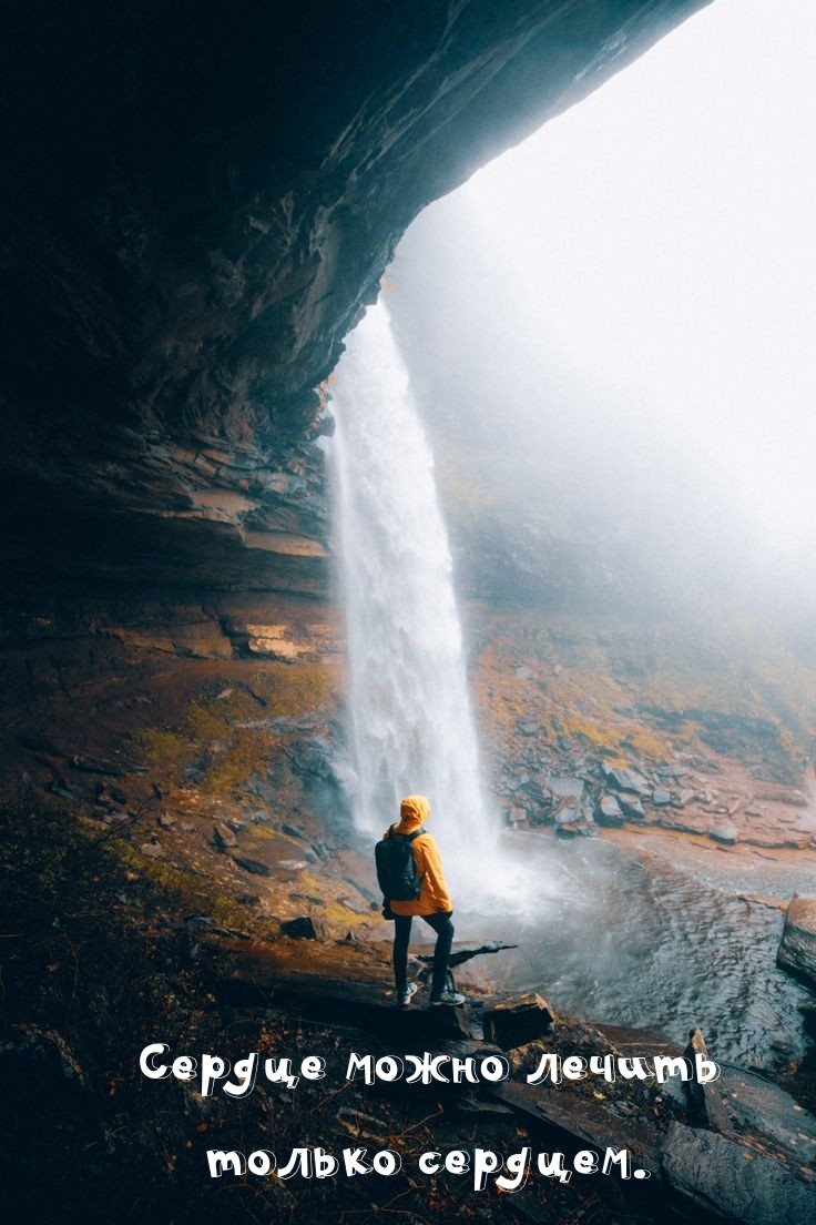 Сердце можно лечить только сердцем.