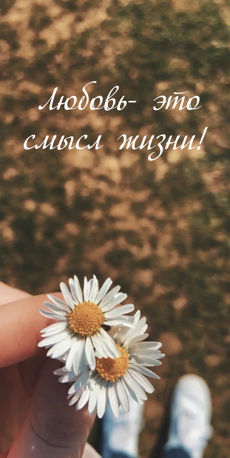 Любовь — это смысл жизни!