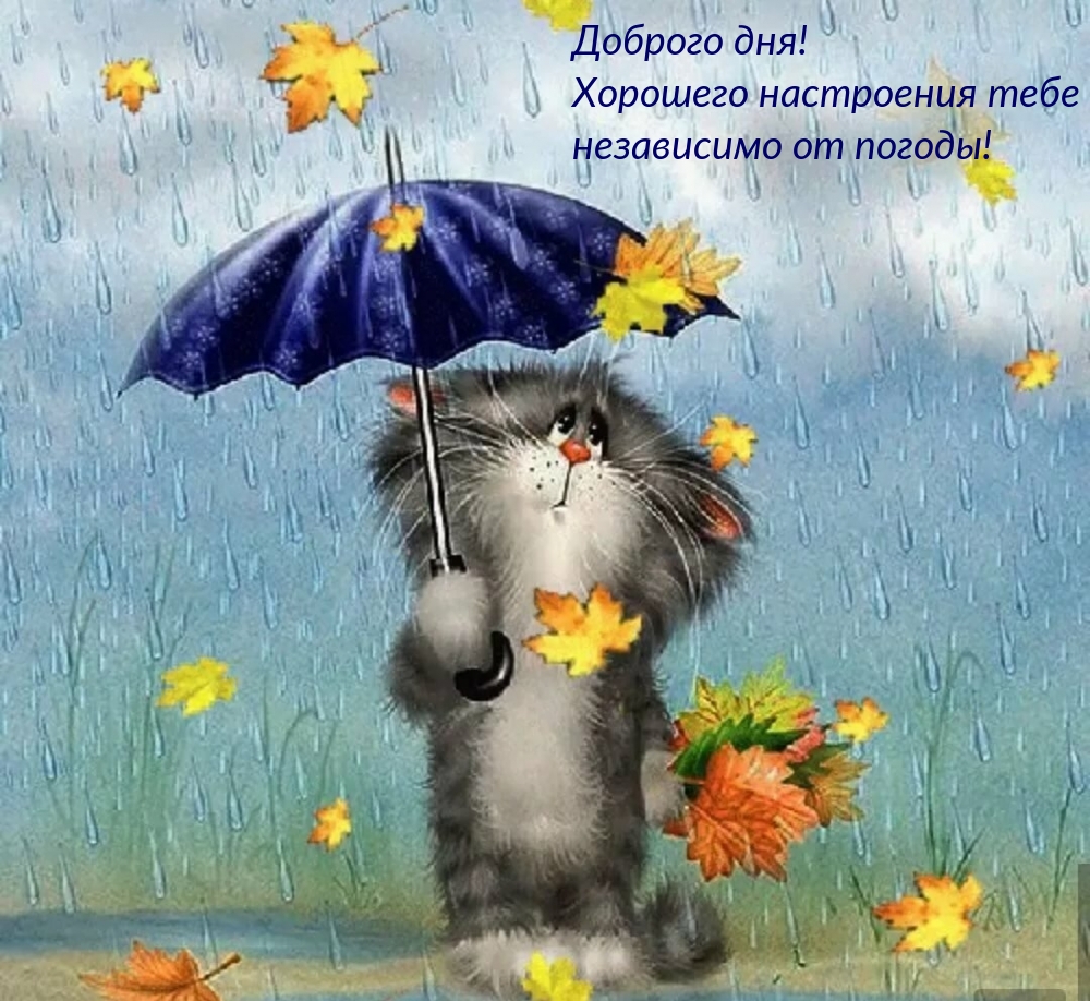 Хорошего настроения тебе независимо от погоды!