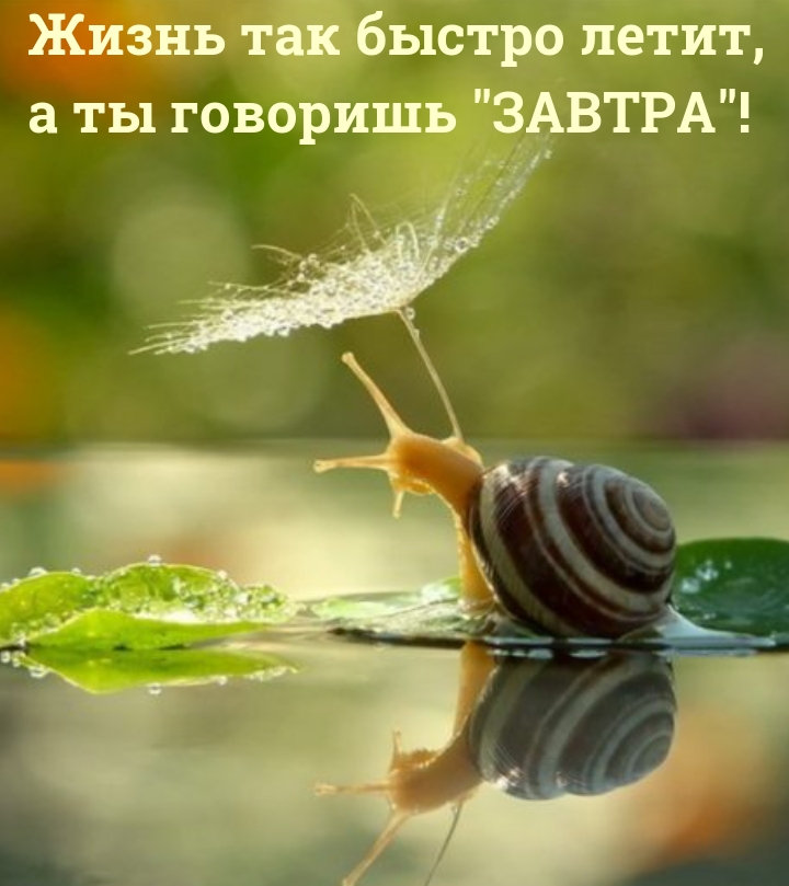 Жизнь так быстро летит, а ты говоришь «ЗАВТРА»!