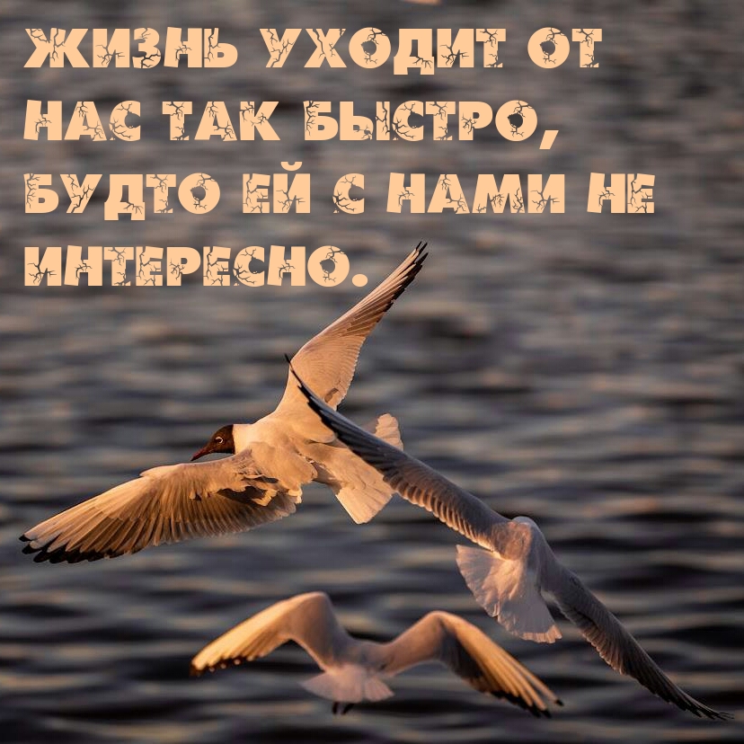 Жизнь уходит от нас так быстро, будто ей с нами не интересно.