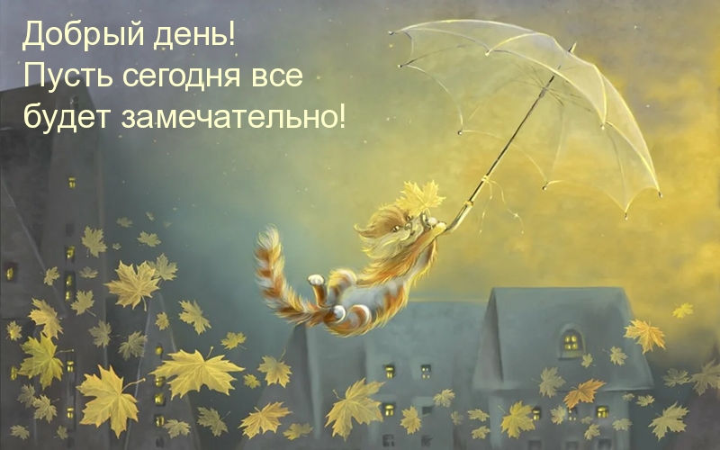 Добрый день! Пусть сегодня все будет замечательно!