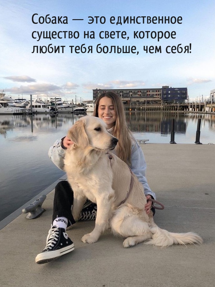Собака — любит тебя больше, чем себя!
