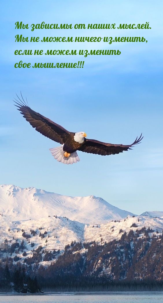 Мы зависимы от наших мыслей. Мы не можем ничего изменить