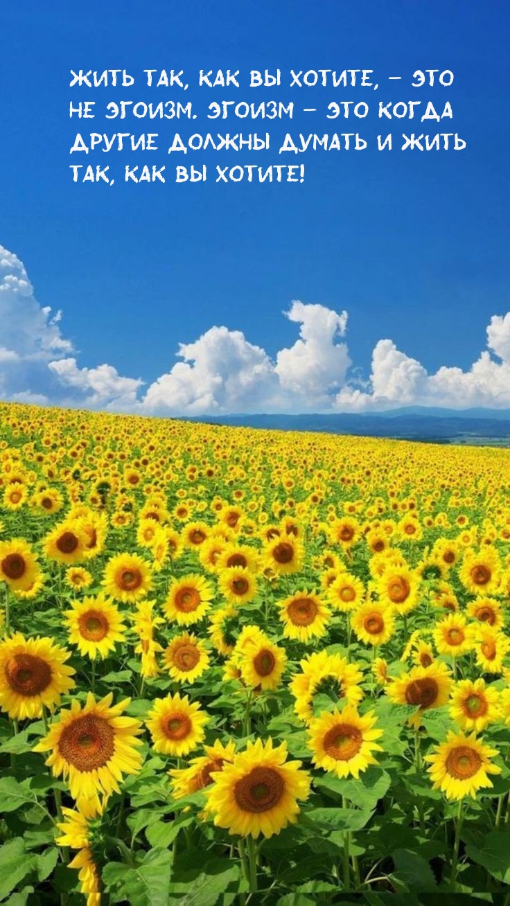 Жить так, как вы хотите, – это не эгоизм.