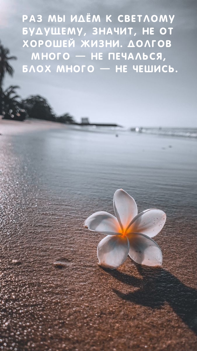 Раз мы идём к светлому будущему, значит, не от хорошей жизни.