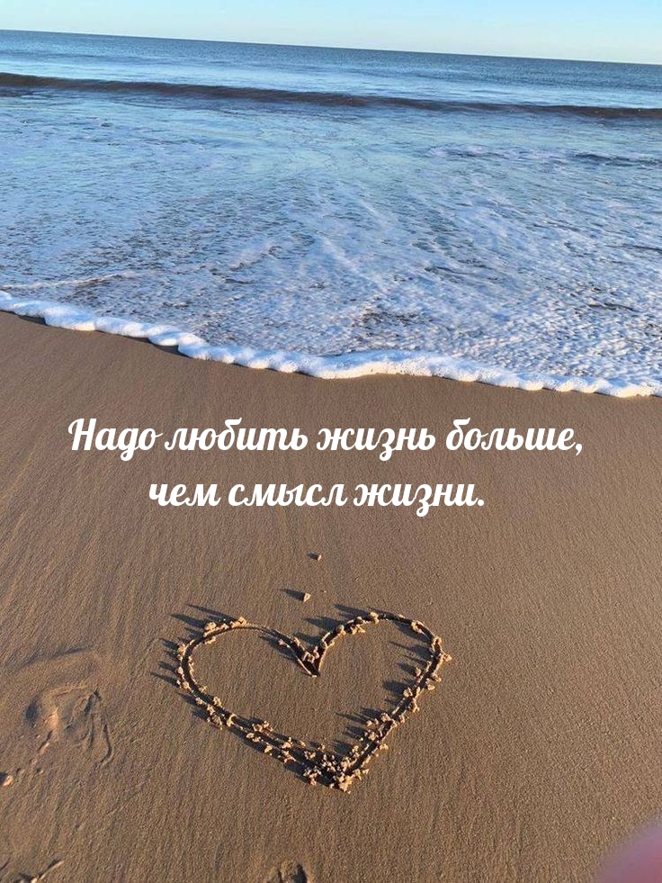 Надо любить жизнь больше, чем смысл жизни.