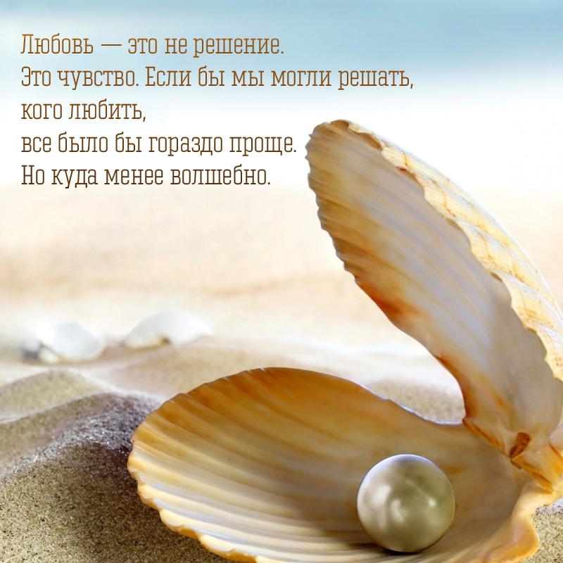 Любовь — это не решение.
