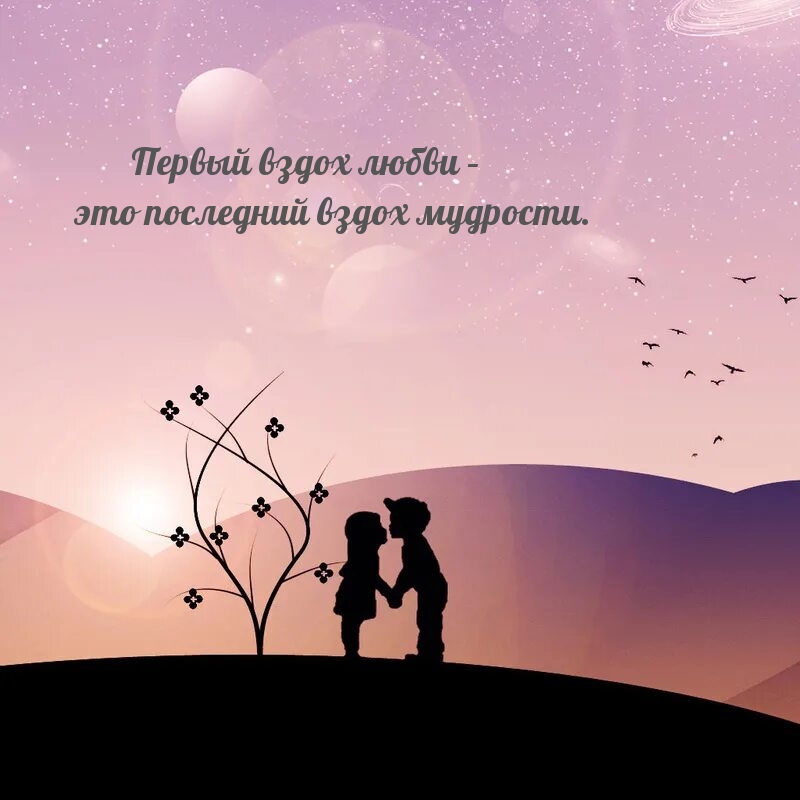 Первый вздох любви – это последний вздох мудрости.