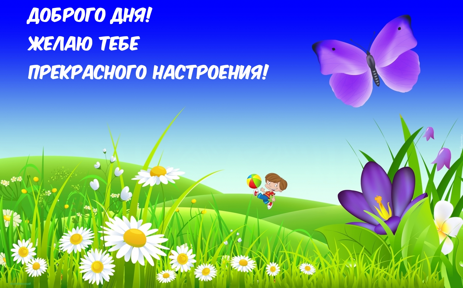 Доброго дня! Желаю тебе прекрасного настроения!