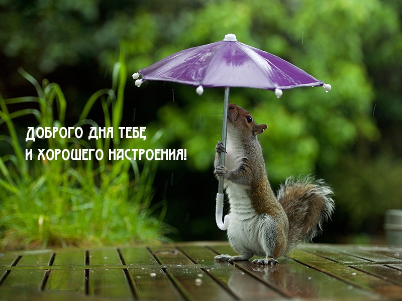 Доброго дня тебе, и хорошего настроения!