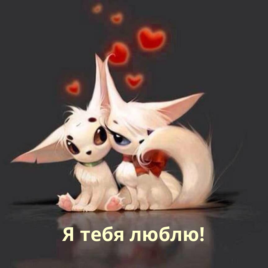 Я тебя люблю!