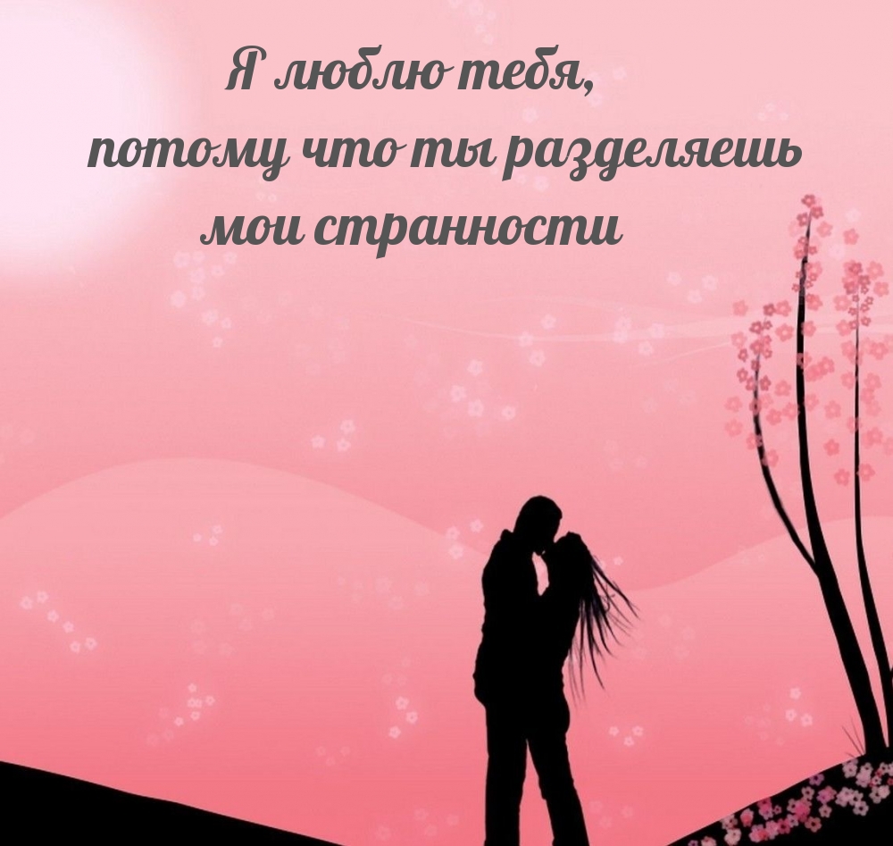 Я люблю тебя, потому что ты разделяешь мои странности