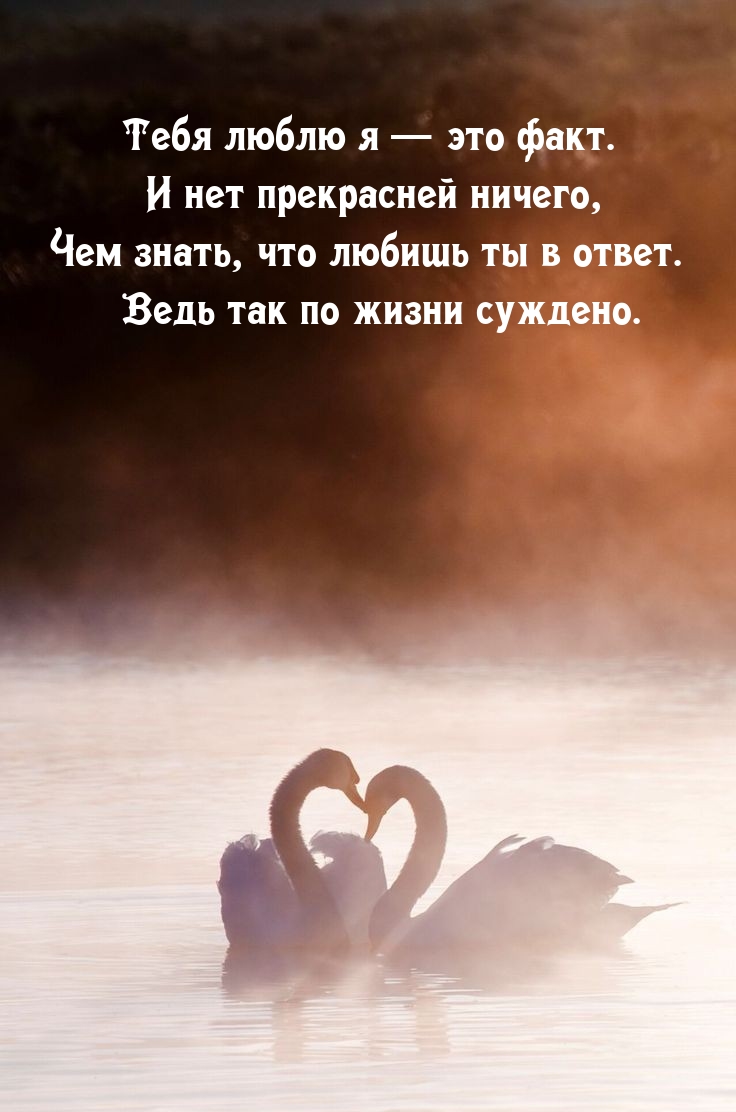 Тебя люблю я — это факт. И нет прекрасней ничего