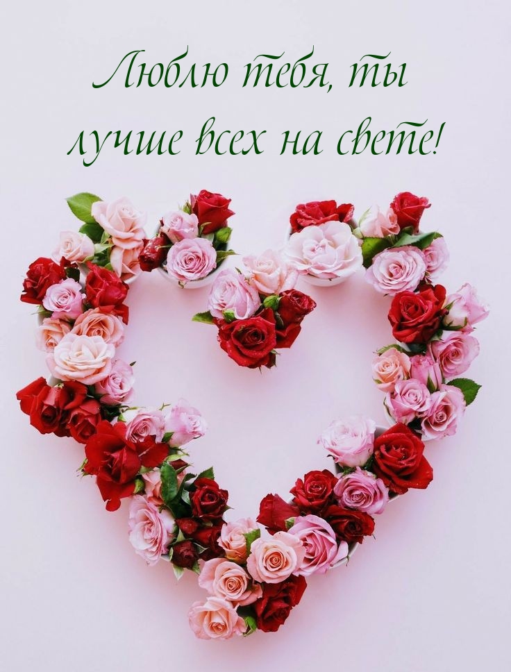 Люблю тебя, ты лучше всех на свете!