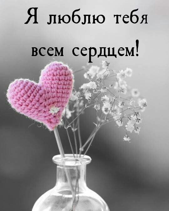 Я люблю тебя всем сердцем!