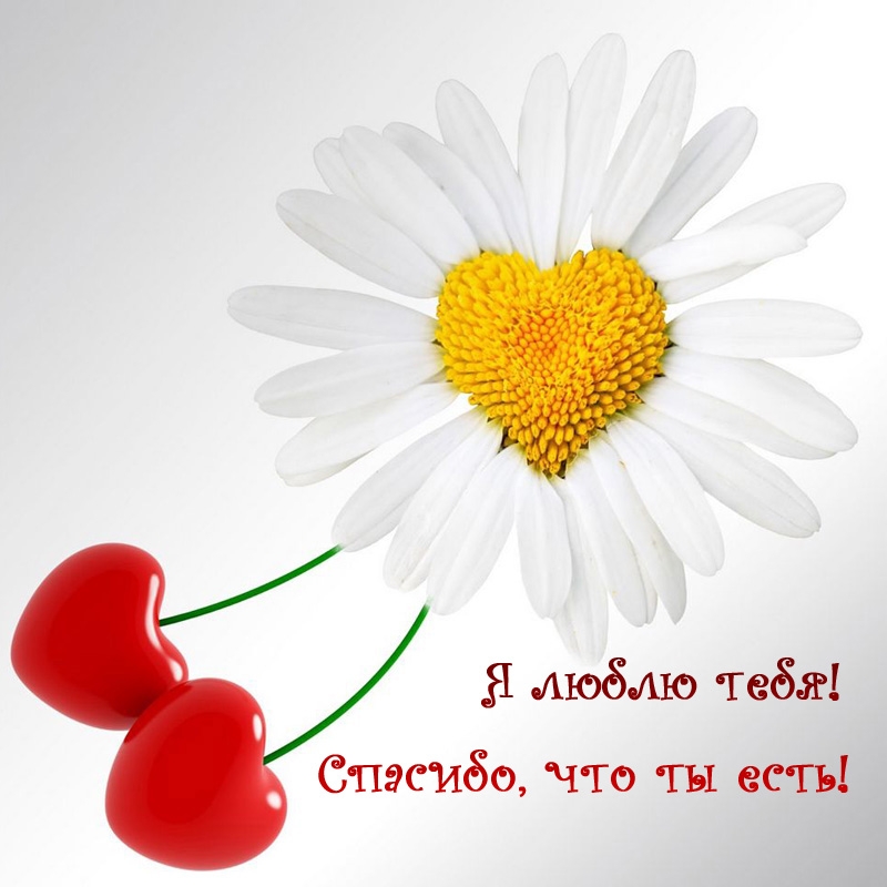 Я люблю тебя! Спасибо, что ты есть!
