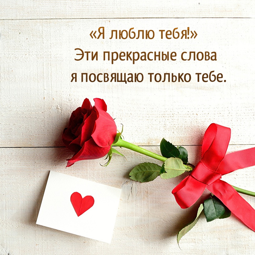 «Я люблю тебя!» Эти прекрасные слова я посвящаю только тебе.