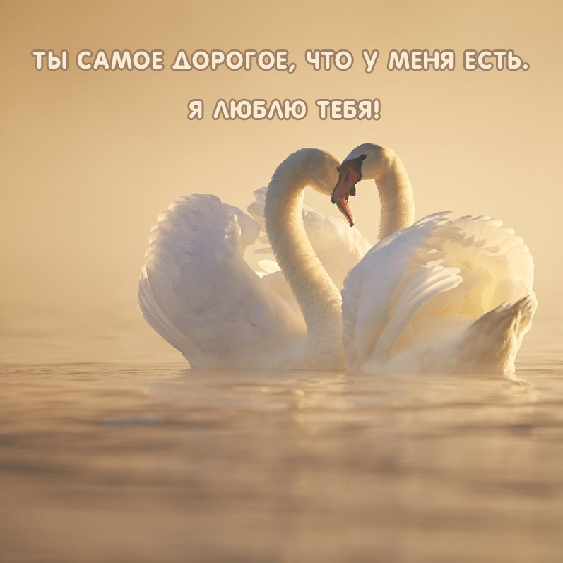 Ты самое дорогое, что у меня есть. Я люблю тебя!