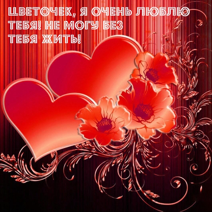 Цветочек, я очень люблю тебя! Не могу без тебя жить!