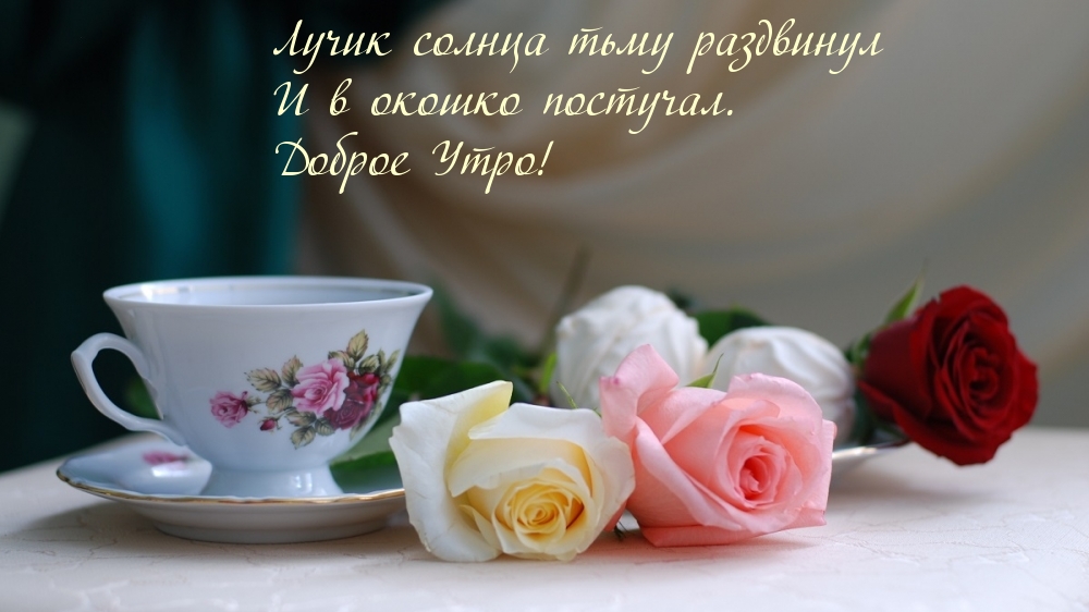 Лучик солнца тьму раздвинул. Доброе Утро!