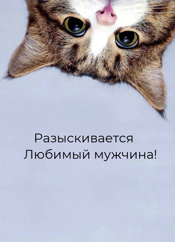 Разыскивается любимый мужчина!